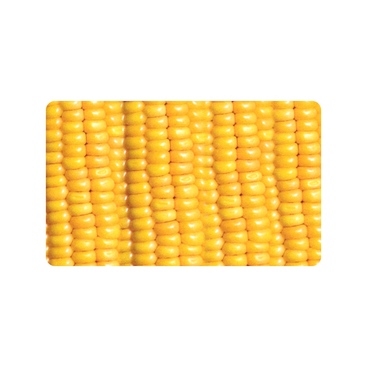Corn Cob Doormat
