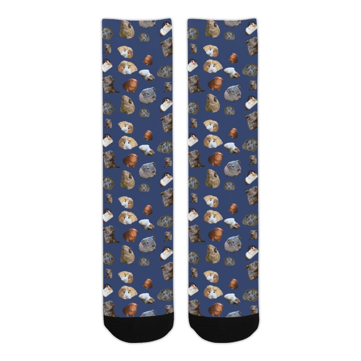 Guinea Pig Socks