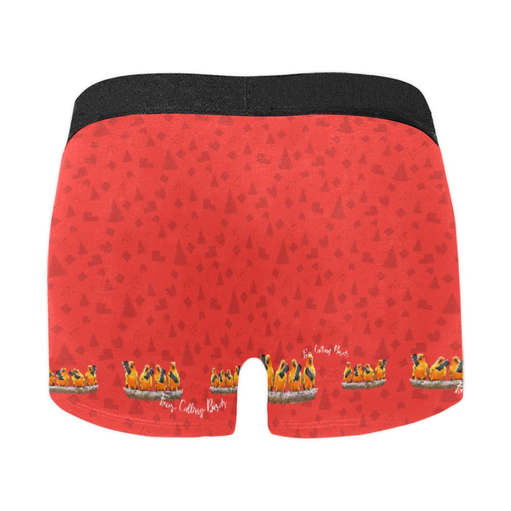 Calling Birds Christmas Boxer Brief Boxers