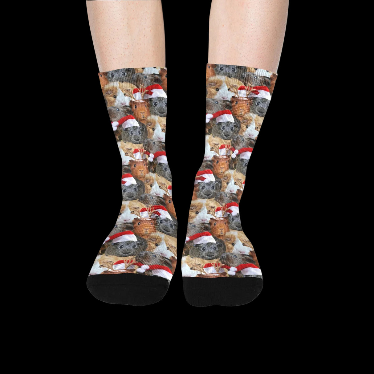 Christmas Guinea Pig Socks