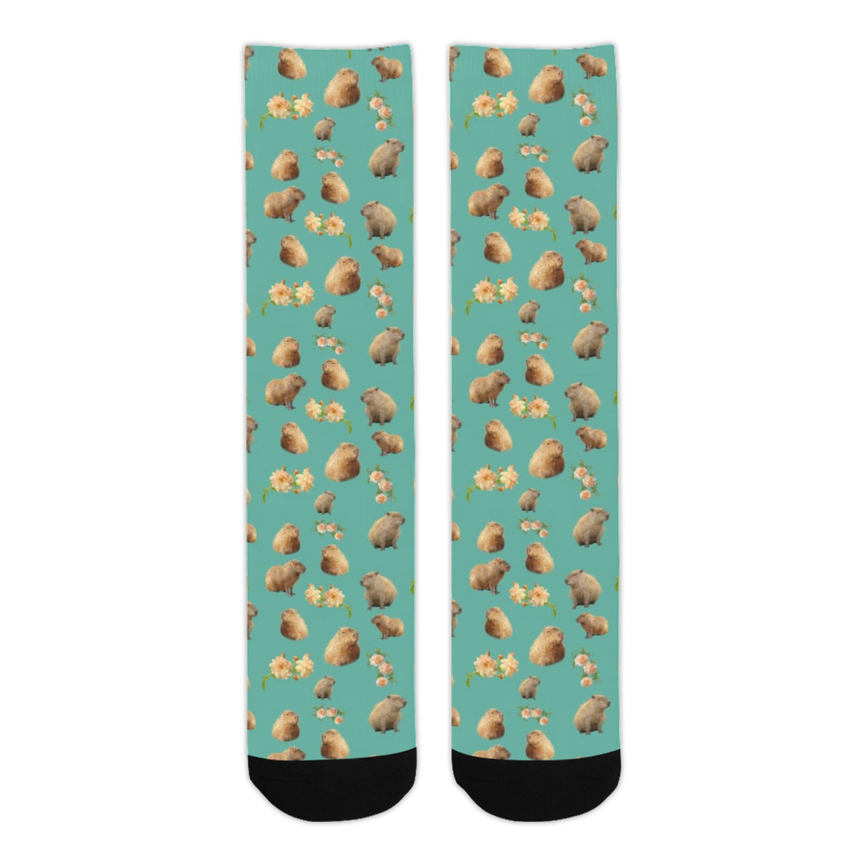 Capybara Socks