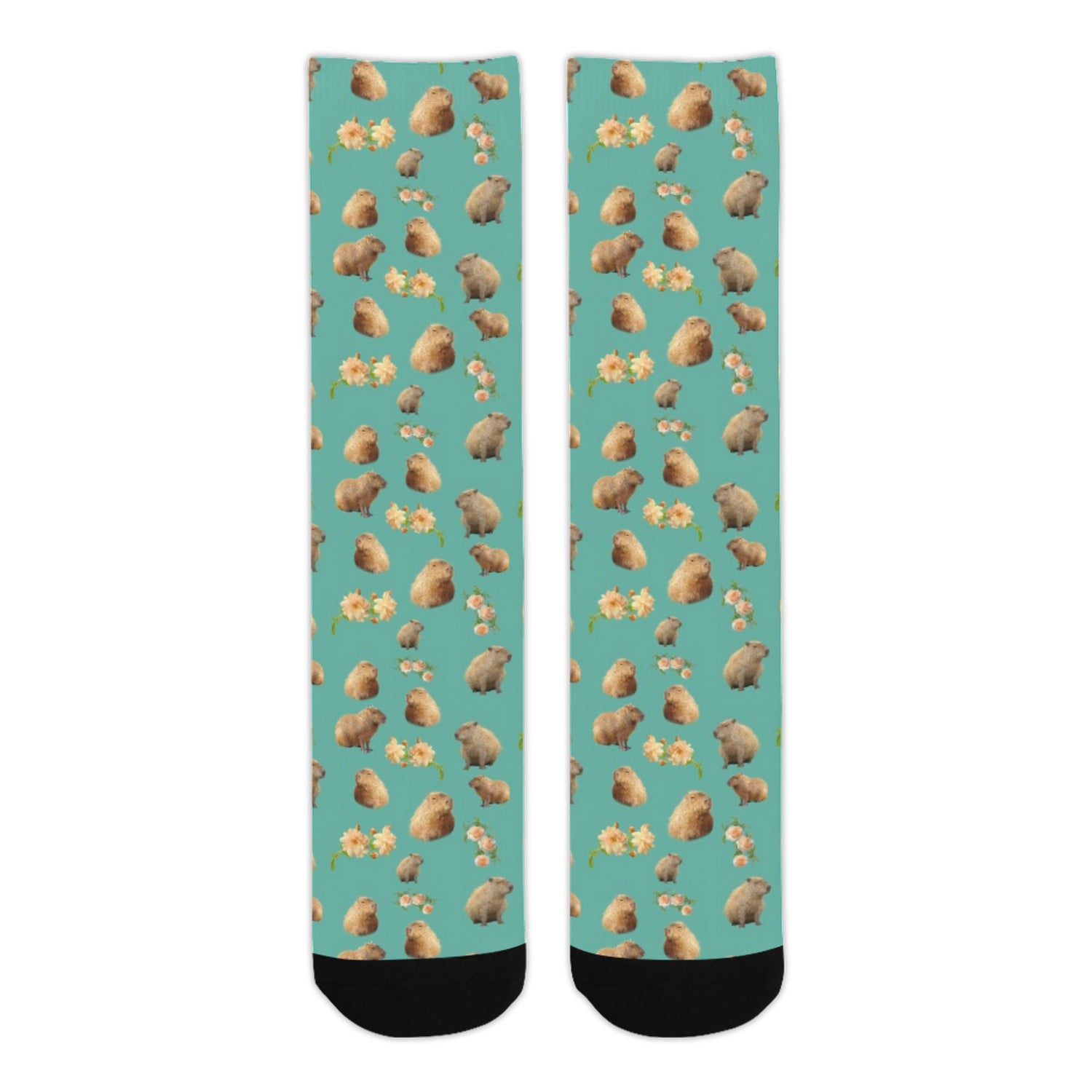 Capybara Socks