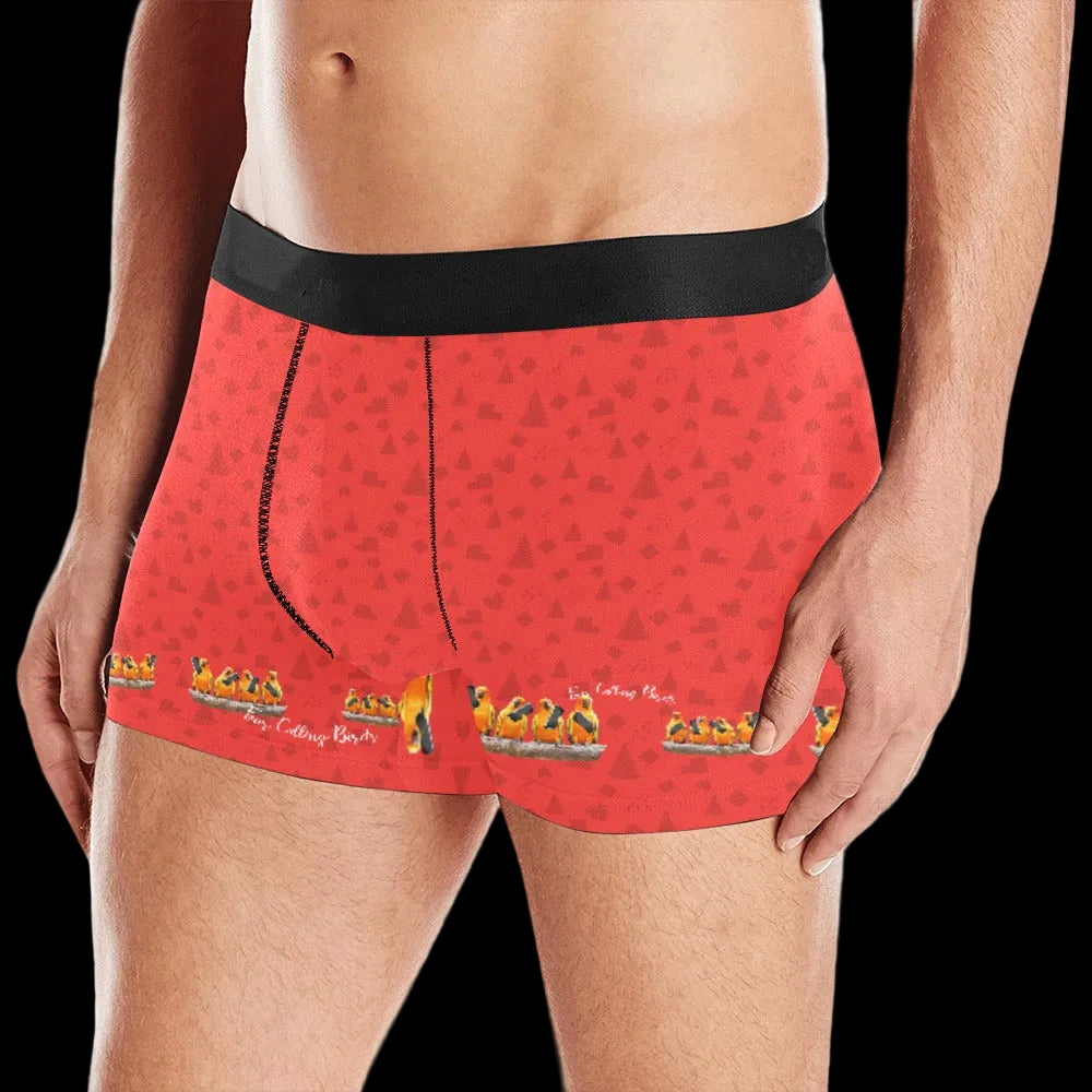 Calling Birds Christmas Boxer Brief Boxers