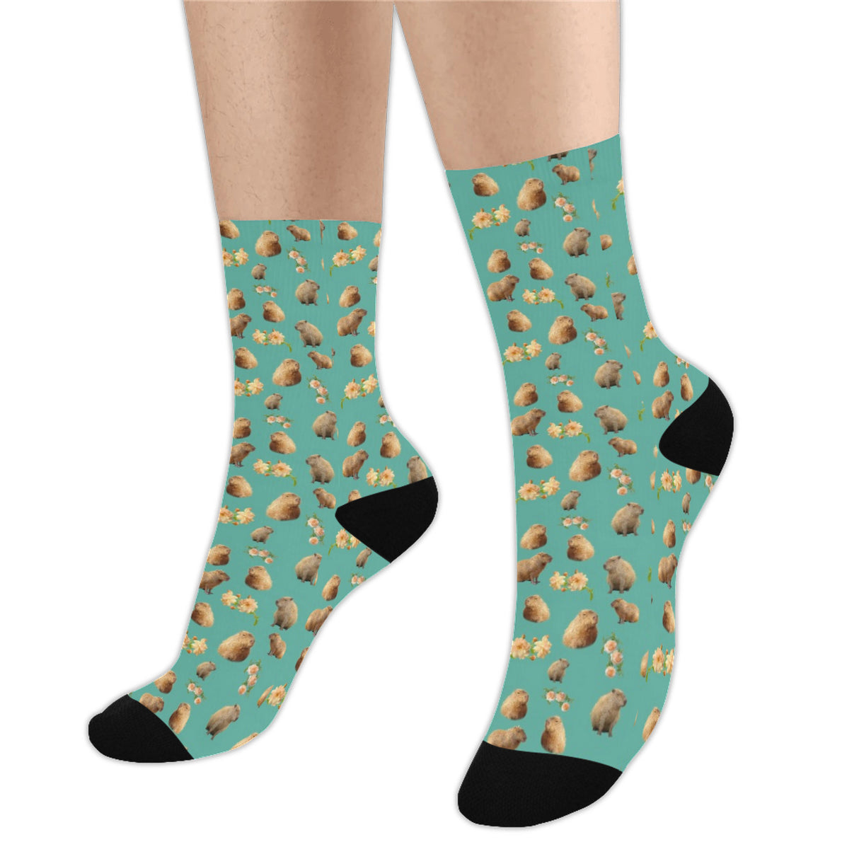Capybara Socks