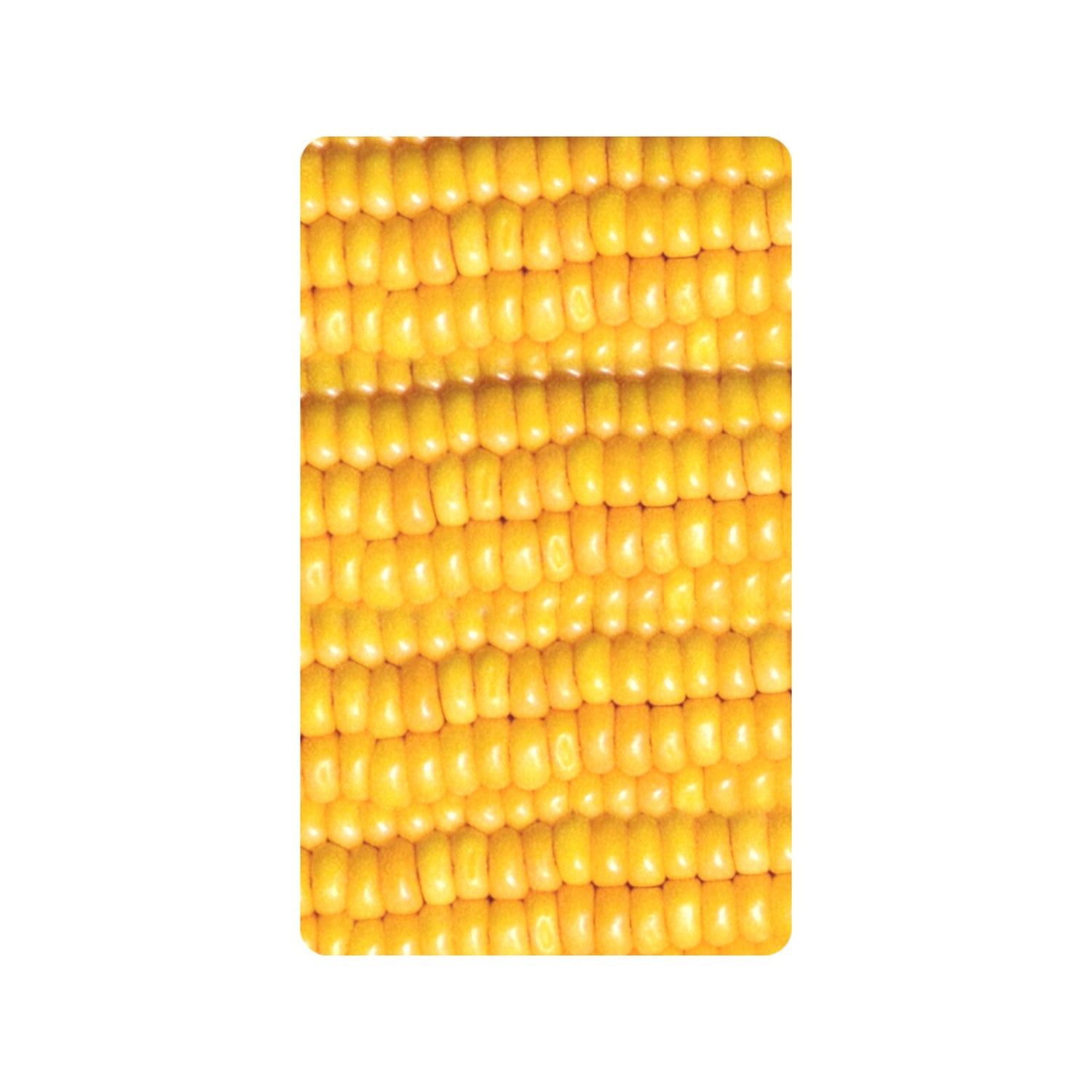 Corn Cob Doormat