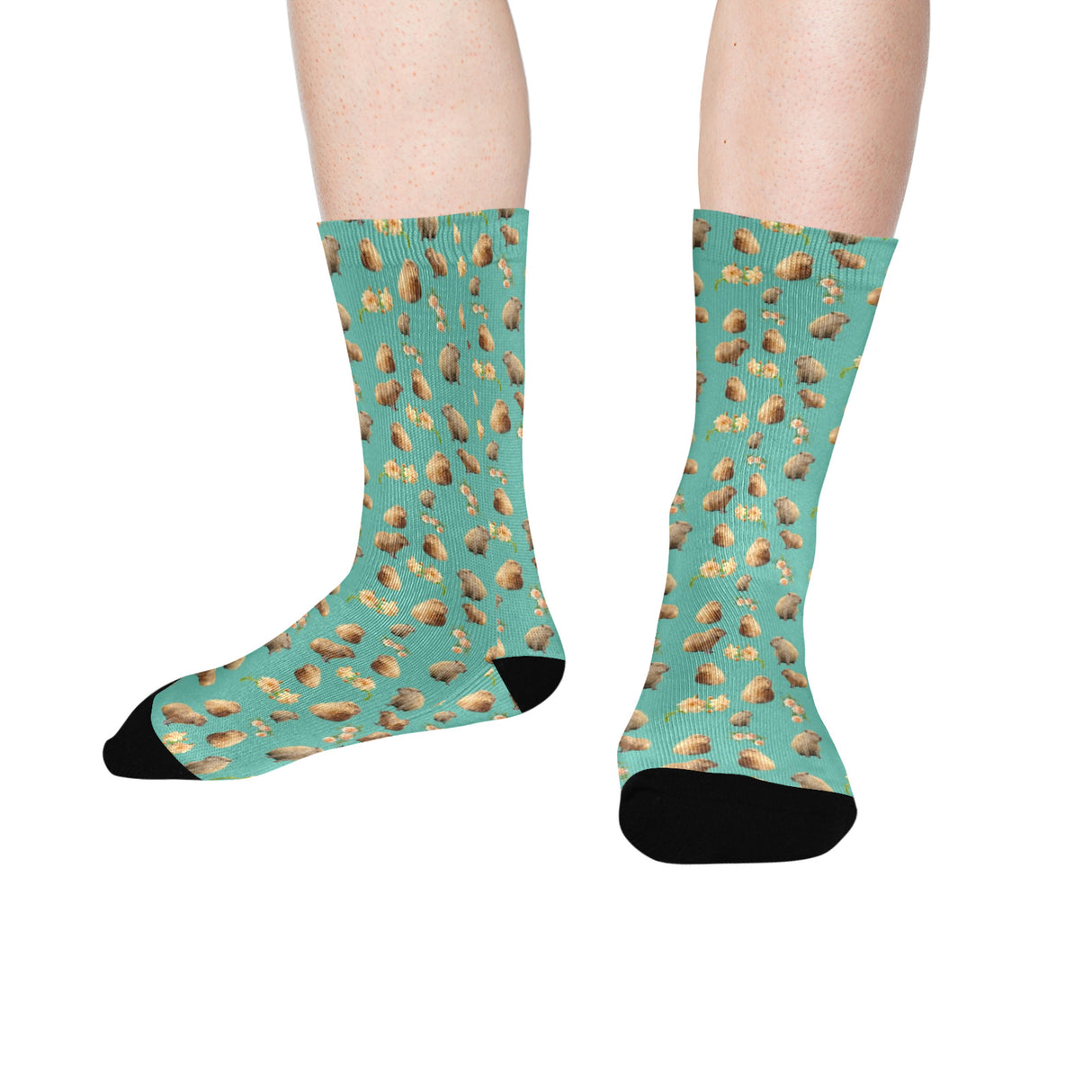 Capybara Socks