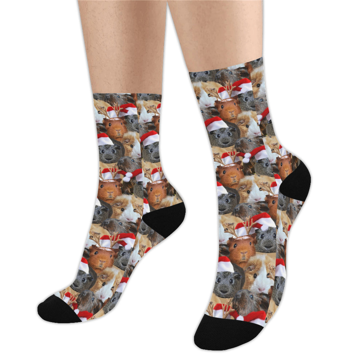 Christmas Guinea Pig Socks