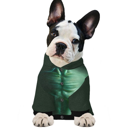 Alien Abduction Dog Costume Hoodie For Dogs - Random Galaxy