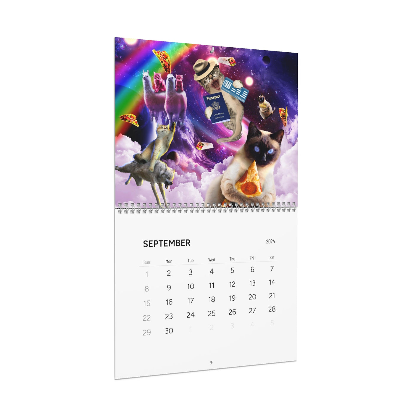 Random Galaxy Space Cat Calendar 2024 - Random Galaxy