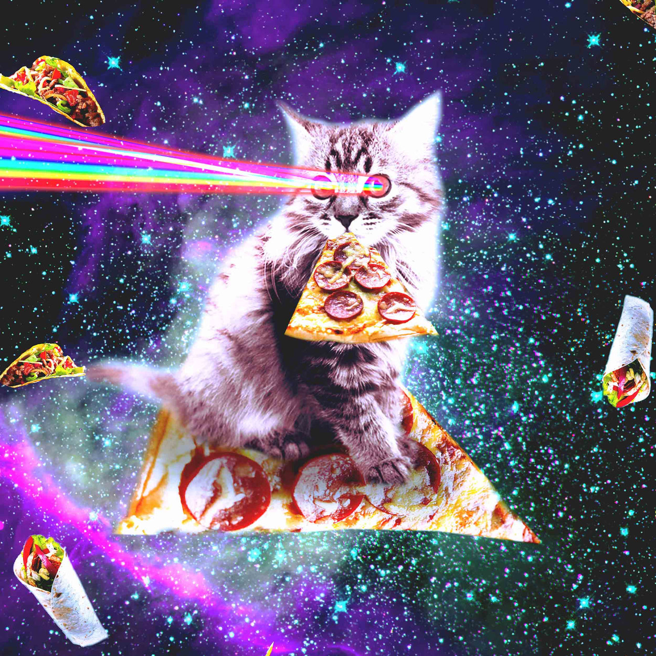 Space Cats