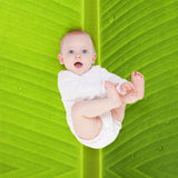 Banana Leaf Throw Blanket