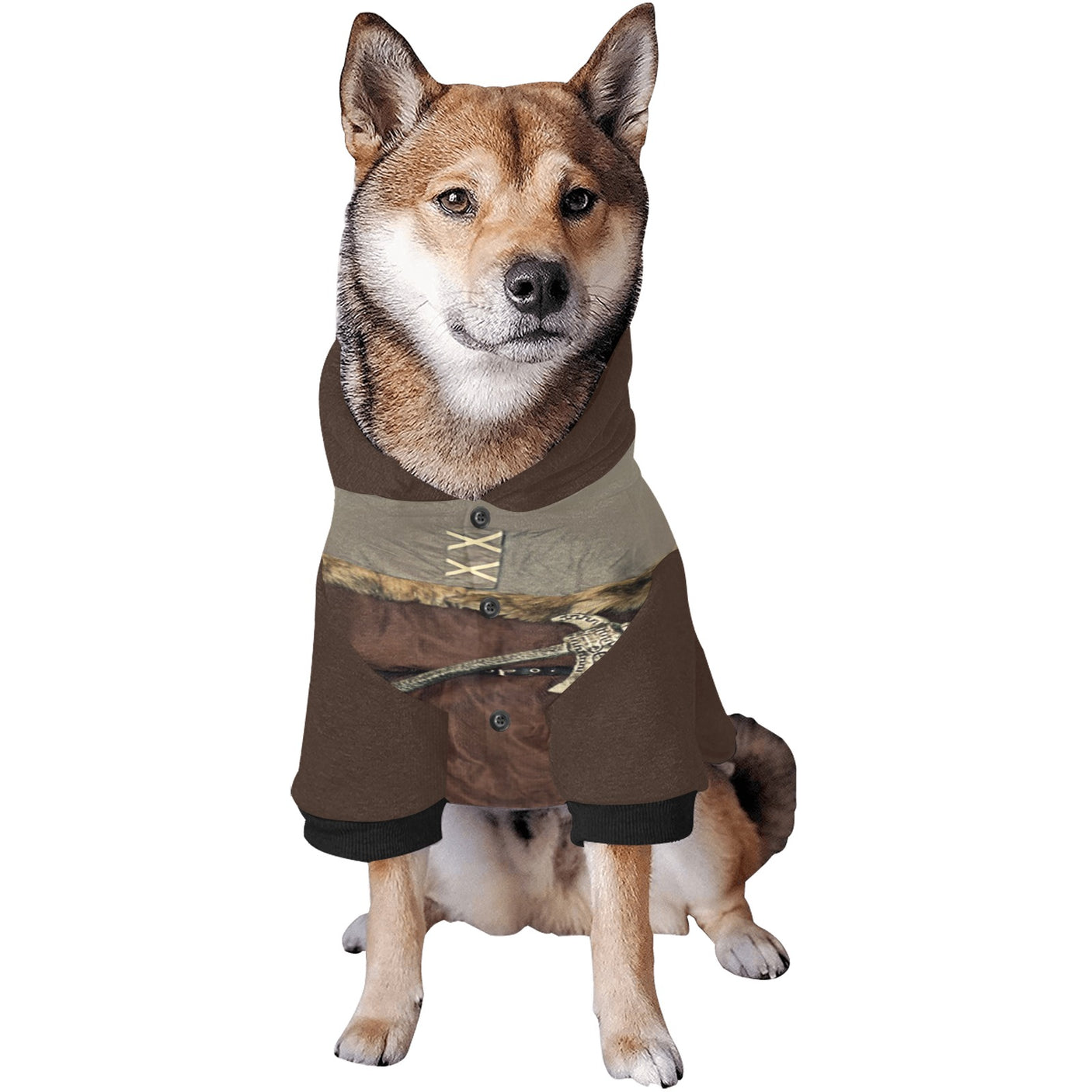 Viking Dog Costume Hoodie