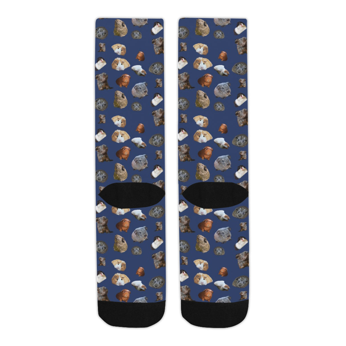 Guinea Pig Socks