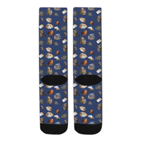 Guinea Pig Socks