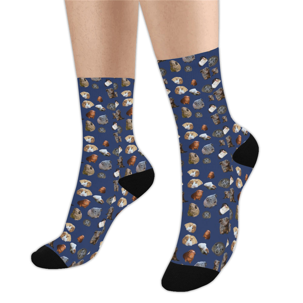 Guinea Pig Socks
