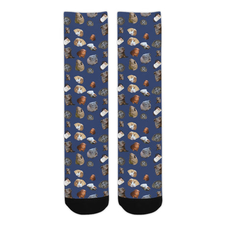 Guinea Pig Socks