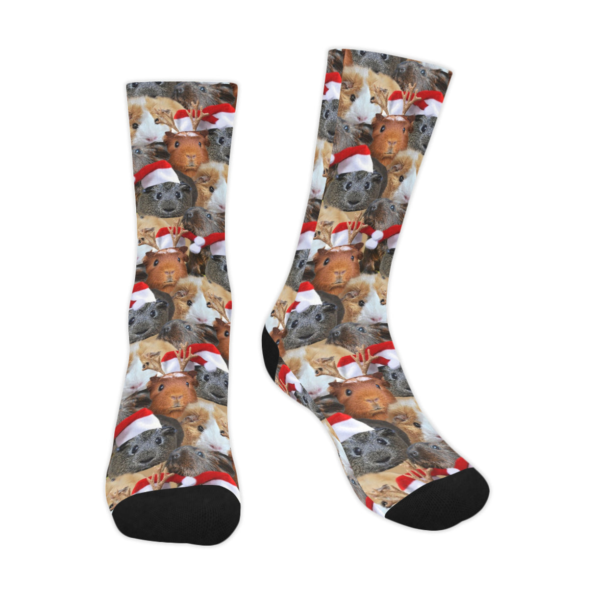 Christmas Guinea Pig Socks