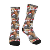Christmas Guinea Pig Socks