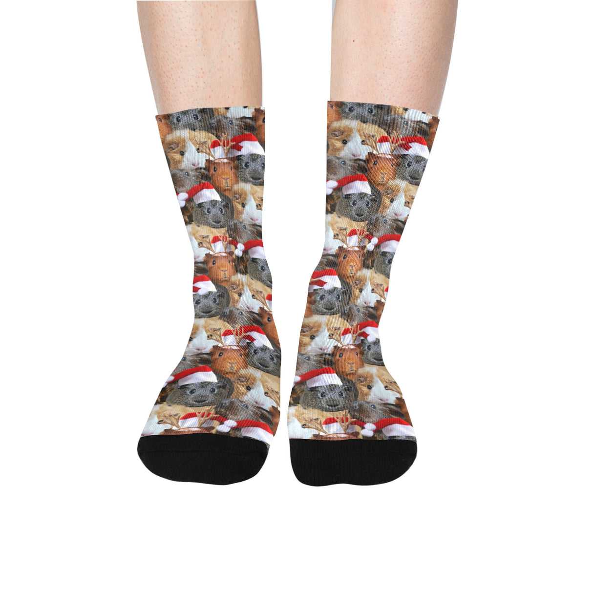Christmas Guinea Pig Socks