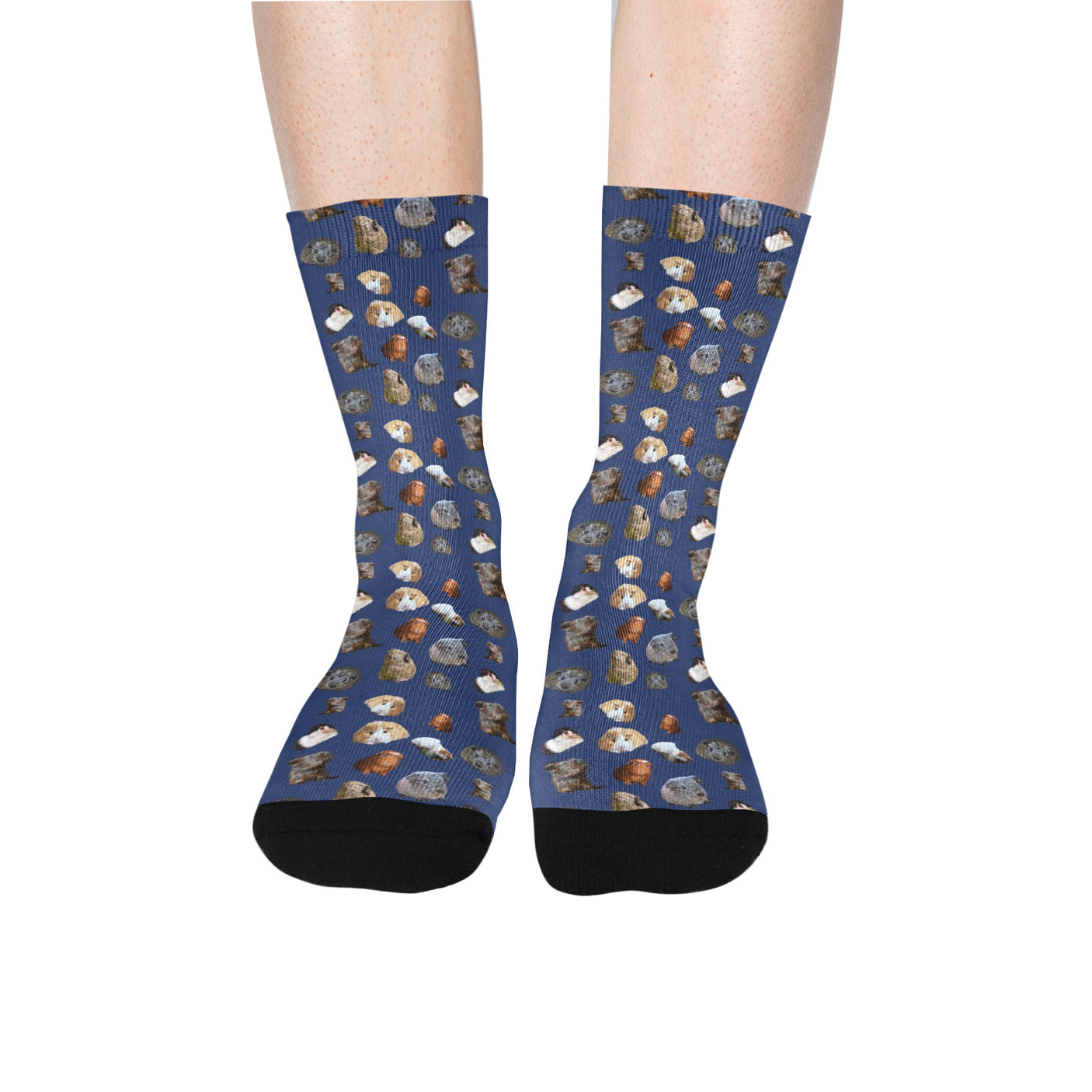 Guinea Pig Socks