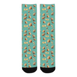 Capybara Socks