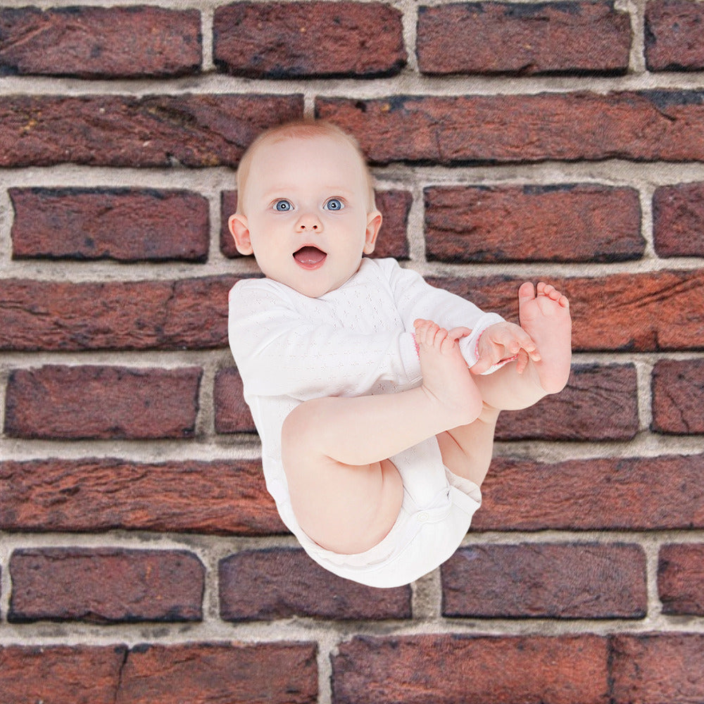 Brick Wall Throw Blanket