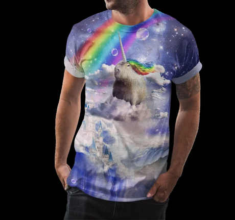 Capybara Unicorn Shirt | AOP 3D Tee Shirts - Random Galaxy Official