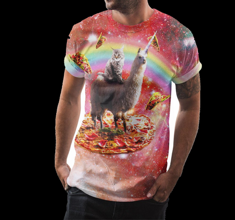 Pizza Cat Llama Shirt - Random Galaxy Official