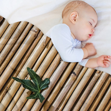 Bamboo Pattern Throw Blanket