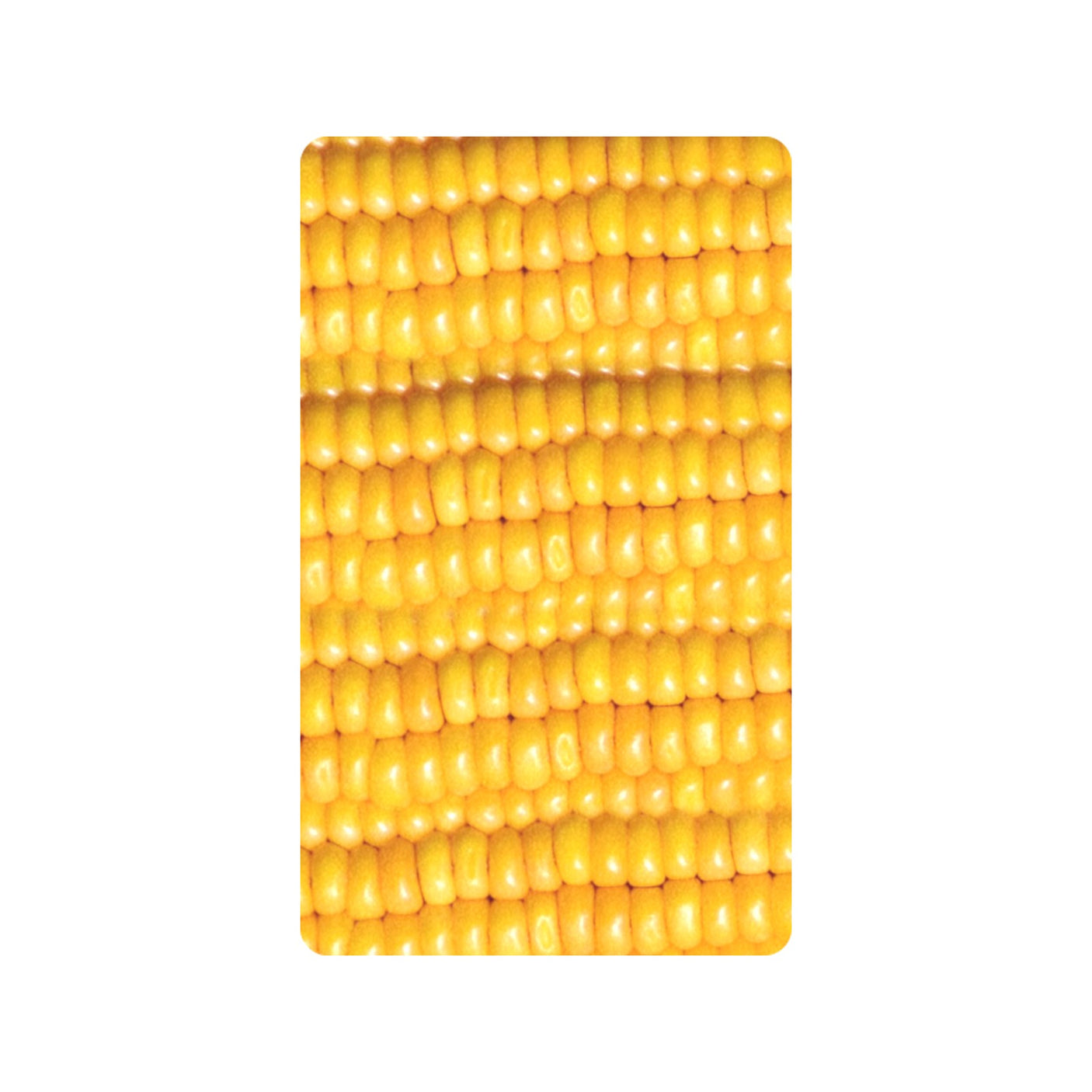 Corn Cob Doormat
