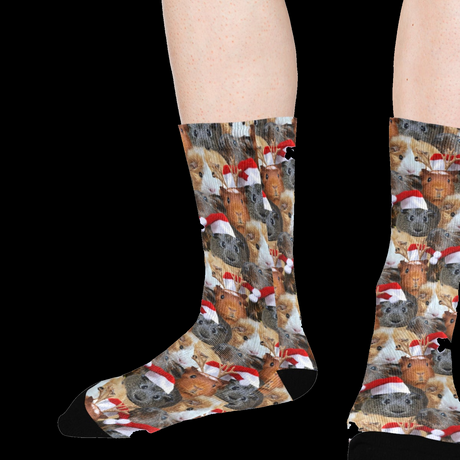 Christmas Guinea Pig Socks - Funny Pet Lover Gift