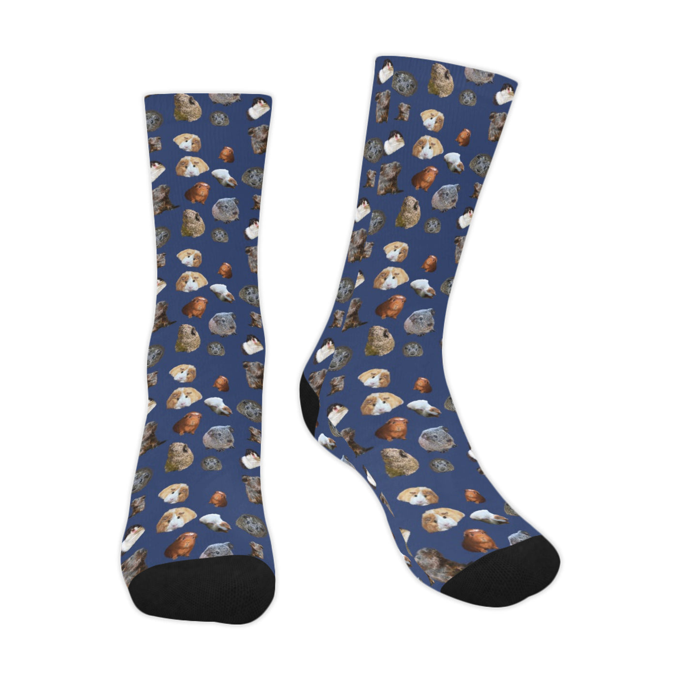 Guinea Pig Socks