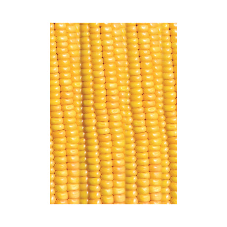 Corn Cob Garden Flag
