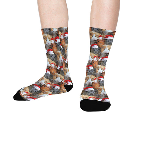 Christmas Guinea Pig Socks