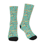Bearded Dragon Socks