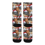 Christmas Guinea Pig Socks