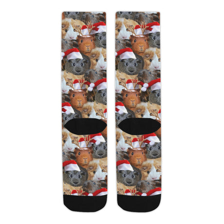 Christmas Guinea Pig Socks