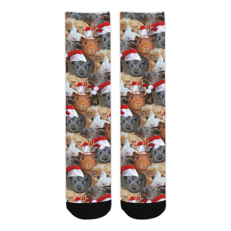 Christmas Guinea Pig Socks