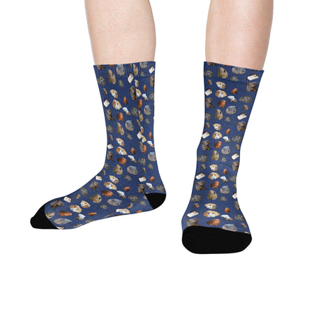 Guinea Pig Socks