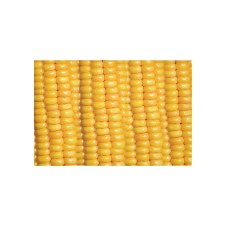 Corn Cob Tapestry