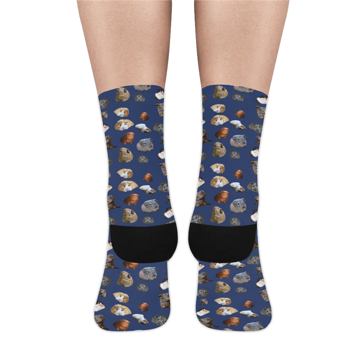 Guinea Pig Socks