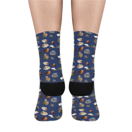 Guinea Pig Socks