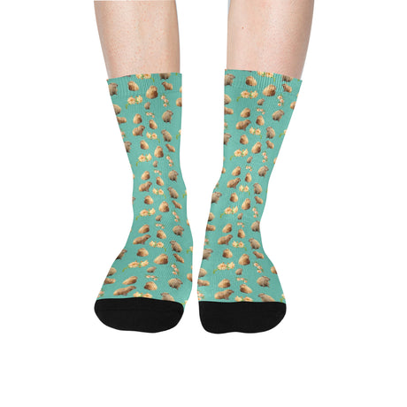 Capybara Socks